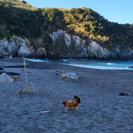 Дом отдыха Sao Bras Porto Formoso