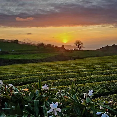 São Brás Сasa de vacaciones *