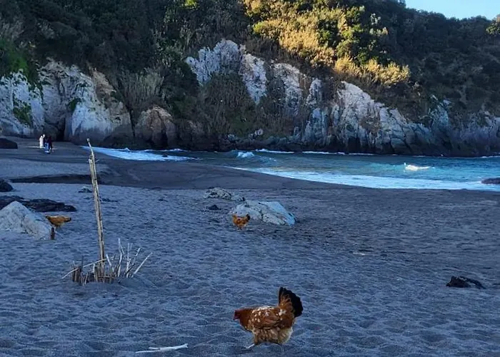 Hébergement de vacances Sao Bras Porto Formoso