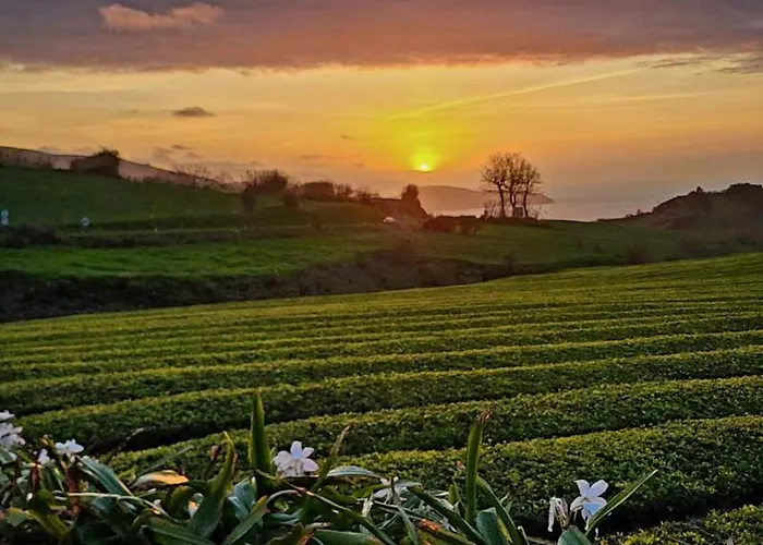 Sao Bras Hébergement de vacances *